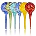 Besti Self Watering Globes for Plants (6-Pack) Waters Greenery Up to 2 Weeks Hands Free | Durable, Multicolored Glass Craftsmanship | Indoor and Outdoor Use (Set of 6)