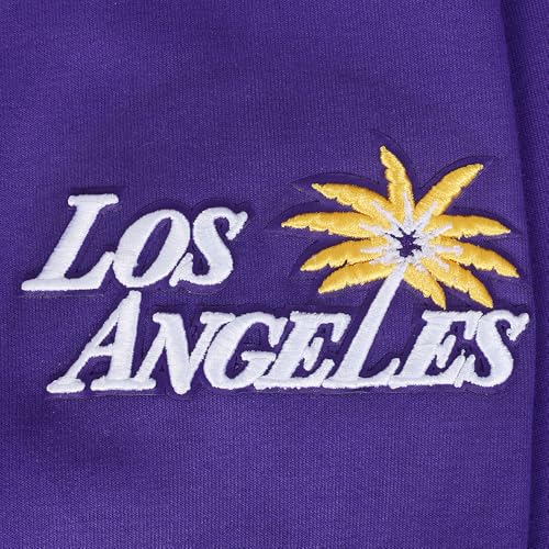 Image of Pro Standard Mens WNBA Classic Chenille Pull Over Hoodie