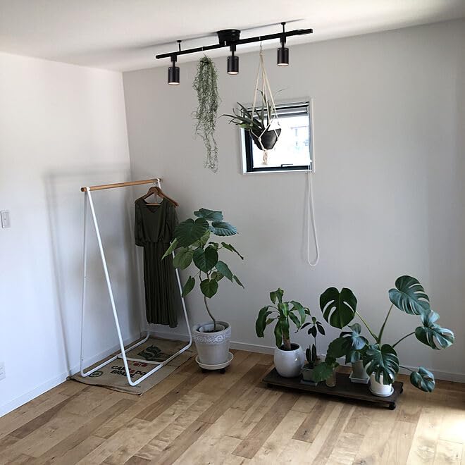 Amazon.co.jp: STGGTS スポットライト 植物育成用ライト on・off