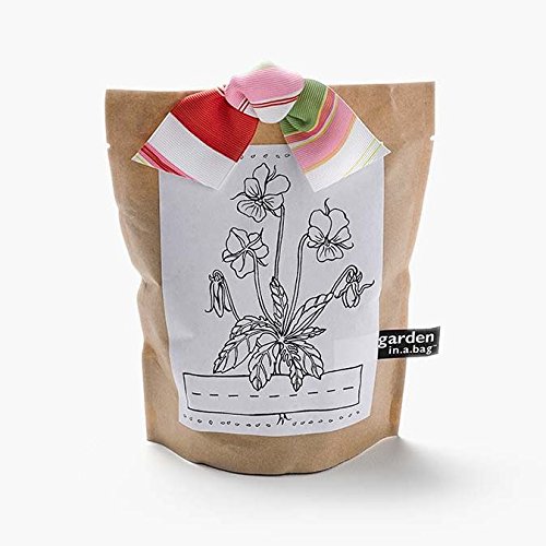 Potting Shed Kid's Gardening Gift - Garden-in-a-Bag - Viola