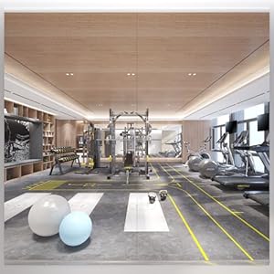 63X24 2Pack Large Home Gym Mirror, Frameless Tempered Glass Dance Wall Mounted Mirror for Home, Yoga, Dancing, Studio, Living Room