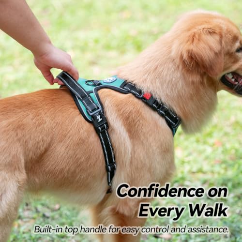 Image of PoyPet Dog Harness No Pull, Reflective Adjustable No Choke Pet Vest with Front & Back Clips, Soft Padded and Control Training Handle for Large Dogs(Mint Blue,XL)