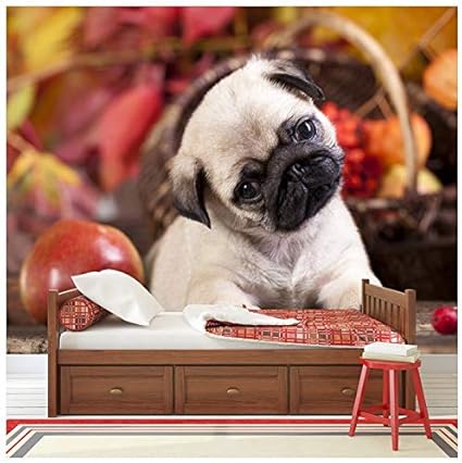 Amazon Co Jp かわいいパグ子犬犬壁壁画動物フォト壁紙子供寝室ホームデコレーションで使用可能な8サイズ 08 Gigantic 356cm W X 250cm H Diy 工具 ガーデン