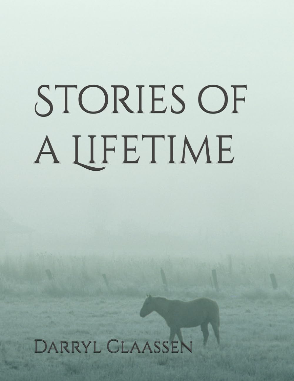 Stories of a Lifetime: Using Words that Rhyme