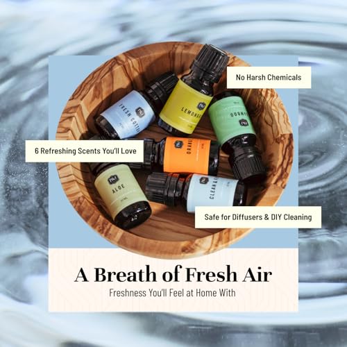 P&J Fragrance Oil Clean Home Set | Lemongrass, Fresh Cotton, Clean & Fresh, Aloe, Bamboo, Orange Candle Scents for Candle Making, Freshie Scent, Soap Making Supplies, Diffuser Oil Scents - Image 5