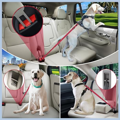 EXTFANS 3-in-1 Hunde Sicherheitsgurt für Auto – Einstellbarer Hundegurt Sicherheitsgeschirr mit Nachtsichtfunktion, 2156N Zugfestigkeit & Energieabsorption, Universalstecker & Verriegelungsbefestigung