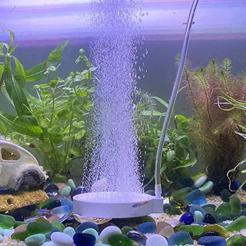 FRIRODSAY Aquarium Air Stone Fish Tank Bubbler Bubble Stone Oxygen Stone Ultra Silent High Dissolving Oxygen Diffuser Kit for Aquarium Fish Tank Hydroponic (C50, 2.4 INCH)