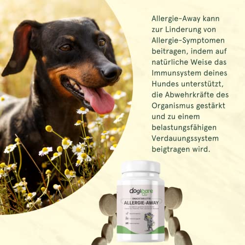 Allergie Tabletten Hund ALLERGIE-Away - Allergiehilfe mit Colostrum, Bierhefe & Prebiotika - Anti Allergie für Hunde gegen Juckreiz - Natürliche Alternative zu Apoquel oder Shampoo - Made in Germany