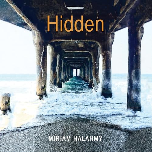 Hidden B0DFSGT8BM Book Cover