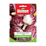 Blumen
