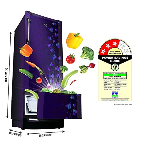 Image of Godrej 255 L 3 Star Inverter Direct-Cool Single Door Refrigerator Appliance (RD EDGEDUO 270C 33 TDI JD PR, Jade Purple, Base stand with drawer, Separate Vegetable Box)