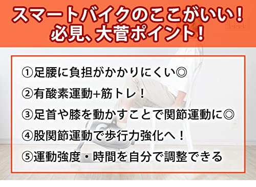 エアロライフ スマートバイク ミニバイク マグネット8段階負
