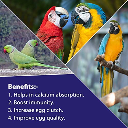 Image of Pet Care International (PCI) D-Plus Powder || Help Calcium Absorption and Immunity || Healthy Bird Healthcare || 100grm