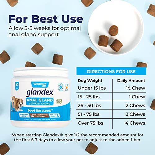 Glandex Anal Gland Soft Chew Treats with Pumpkin for Dogs Digestive Enzymes, Probiotics Fiber Supplement for Dogs Boot The Scoot (Peanut Butter Chews, 60ct) Glandex Anal Gland Soft Chew Treats with Pumpkin for Dogs Digestive Enzymes, Probiotics Fiber Supplement for Dogs Boot The Scoot (Peanut Butter Chews, 60ct)