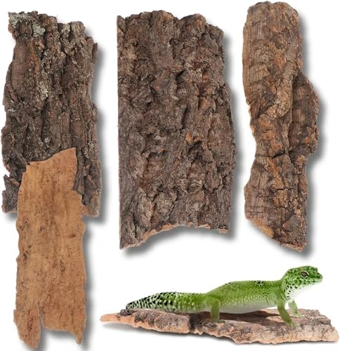 Image of balacoo Terrarium Tree Bark: 4pcs Reptile Bark Decoration Natural Cork Bark Backdrop Reptile Tank Background Leopard Cork Bark - Tarantula Enclosure Accessories