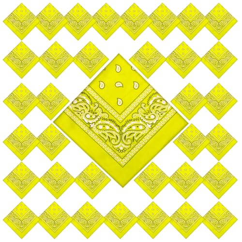 36 Pcs Paisley Cowboy Bandanas Bulk Multi Purpose Polyester Headband Scarf Kerchiefs for Men Women Pet Party Costume