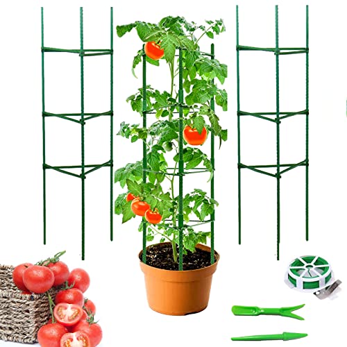 Gemse Topf Mit Rankhilfe Tomatentopf Mit Rankhilfe 2er Set -  Selbstbewssernder Hochbeet Pflanzkasten Mit Verstellbarem Spalier Fr  Tomaten & Kletterpflanzen
