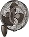 Kichler Lighting 339218SNB Wall Fan, 18", 18 Inch, Satin Natural Bronze