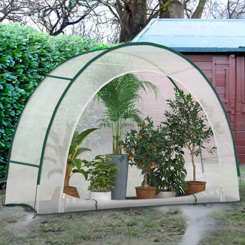 Siebwin 10 Stück 12 Löcher Samen Starter Tabletts Seedling Tablett Feuchtigkeit einstellbare Pflanze Starter Kit mit Kuppel und Basis Gewächshaus wachsen Tabletts für Die Garten Schwarz 2 Siebwin 10 Stück 12 Löcher Samen Starter Tabletts Seedling Tablett Feuchtigkeit einstellbare Pflanze Starter Kit mit Kuppel und Basis Gewächshaus wachsen Tabletts für Die Garten Schwarz – Bild 2