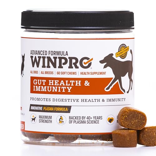WINPRO Dog Gut Health Supplement &ndash; Plasma-Powered Soft Chews for Dog Immune Health Support & Gut...