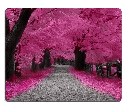 Neon Pink Cherry Blossom Trail Japan Mouse Pads Customized Made to Order Support Ready 9 7/8 Inch (250mm) X 7 7/8 Inch (200mm) X 1/16 Inch (2mm) Eco Friendly Cloth with Neoprene Rubber MSD Mouse Pad Desktop Mousepad Laptop Mousepads Comfortable Computer Mouse Mat Cute Gaming Mouse_pad