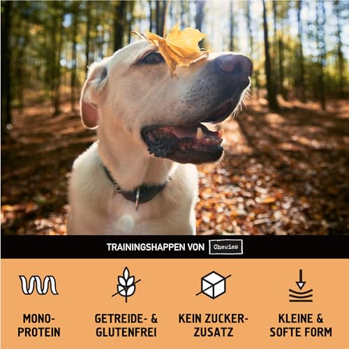 Chewies Trainingshappen Ente - Monoprotein Snack für Hunde - 300 g - getreidefrei & zuckerfrei - Softe Leckerlies fürs Hundetraining - hypoallergen