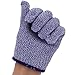 KESYOO 1 Pair of Level 5 Cut Resistant Kids Gloves Hand Protection Safety Gloves Kitchen Tools for Cutting And Slicing (blue, Size Xs)