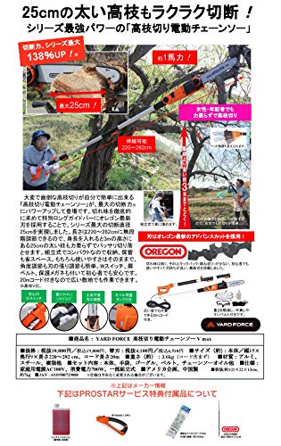 【“2020年最新型” YARD FORCE 高枝切り電動チェーンソー Vmax 「ES N25A-JP」25cm径太高枝切断・100V電源コード仕様】 ＋「保護メガネ(切かす対策)・軍手・チェーンソーオイル・ OREGON 純正丸ヤスリ・ノコギリ・結束ロープ付(高枝落下方向対策処理用)」 ヤードフォース 【Prostar/Pack4】