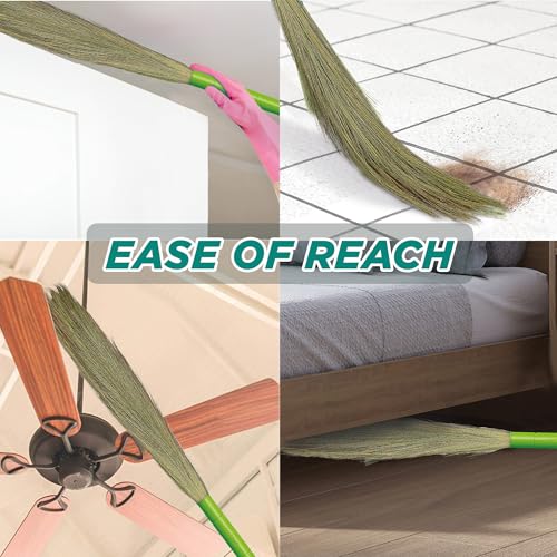 Image of Spotzero By Milton Airavat Premium Grass Broom I Blend Shillong & Silchar Grass I Extra Long Ergonomic Handle Design, Set of 1