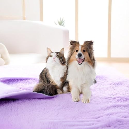 Miniatura 5 de Vetmor Aspiradora para perros para pelos de mascotas, kit de aseo para perros, secador de pelo, soplador