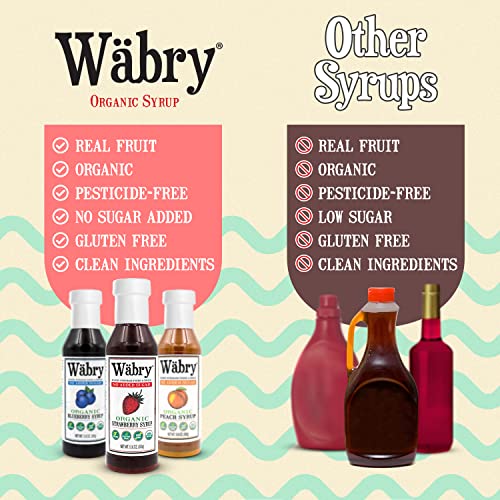 Image of Wabry Organic Strawberry Syrup No Added Sugar - 13.8oz (390g), Sweetened with Stevia & Erythritol, Natural Fruit Syrups for Drinks, Pancakes, Shaved Ice, Ice cream, Non-GMO, Dye-Free Snow Cone Syrup