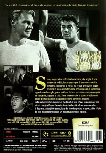 Il Gigante di New York