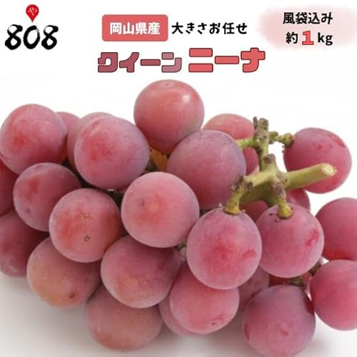 岡山県が誇る高級ぶどう「クイーンニーナ」。 ルビーのように艶やかで美しい赤色、 上品でコクのある甘さが魅力の“赤ぶどうの女王”です。 多汁で糖度も高く、まろやかな甘みとほどよい酸味のバランスが絶妙。 一粒ほおばると、ジューシーな果汁が口いっぱいに広がります