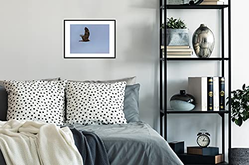 Poster met lijst Bruine kiekendief - Poster met lijst bruine kiekendief die in lucht vliegt - 40x30 cm - Afbeelding 3