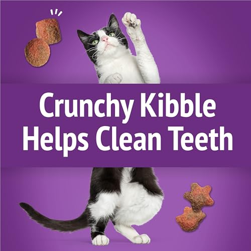Purina Friskies Party Mix Gravylicious Crunch Cat Treats, (10) 2.1 oz Pouch - image 5