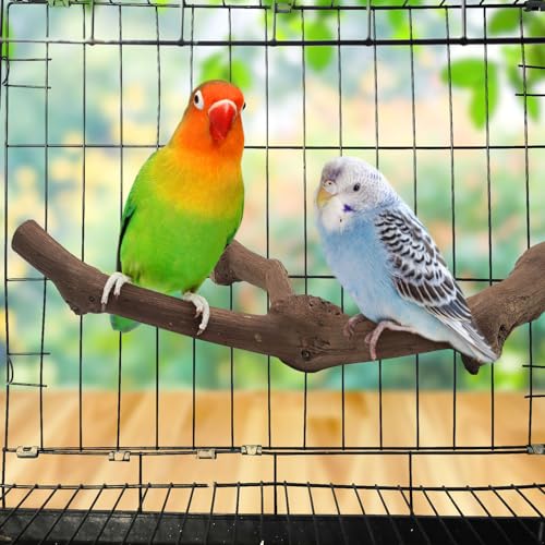 Image of 6Pcs Natural Wooden Bird Perch Grape Stick Claw Grinding Fork Bird Perching Branch Claw Grinding Stick Parrot Standing Platform Parrot Cage Chewing Accessories for Parrots Lovebirds Parakeets