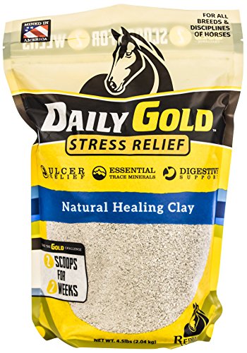 Redmond - Daily Gold Stress Relief | Natural Healing Clay for Gastric Ulcers