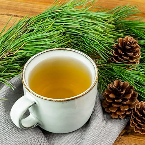 Windy999 Fresh White Pine Needle Tea, Pine Needle for Tea, Pine Needle Tea Organic, White Pine Needle Tea Organic, Pine Needle Tea Organic Suramin, Fresh Cut-Ship Same Day (2OZ)