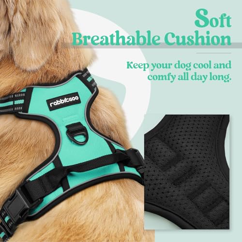 Image of rabbitgoo Dog Harness No Pull with 2 Leash Clips, Adjustable Soft Padded, Reflective Oxford No Choke Pet Vest with Easy Control Handle for Small Dogs, Turquoise, S