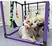 DOZZOPET Puppy Play Gym for Small Dogs with 8 Hanging Toys, Jungle Playground with Interactive Funny Enrichment Toys to Keep Them Busy