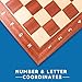 GSE Games & Sports Expert Professional Tournament Chess Board Only, Sapele & Maple Inlaid Chessboard, Portable Chess Board for Beginners, Kids, Adults (Large: 19
