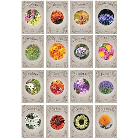 Valley Greene Set of 16 Heirloom Flower Seeds - Non-GMO - 16 Varieties - Assorted Flower Seeds - Individually Sealed Packs Cover