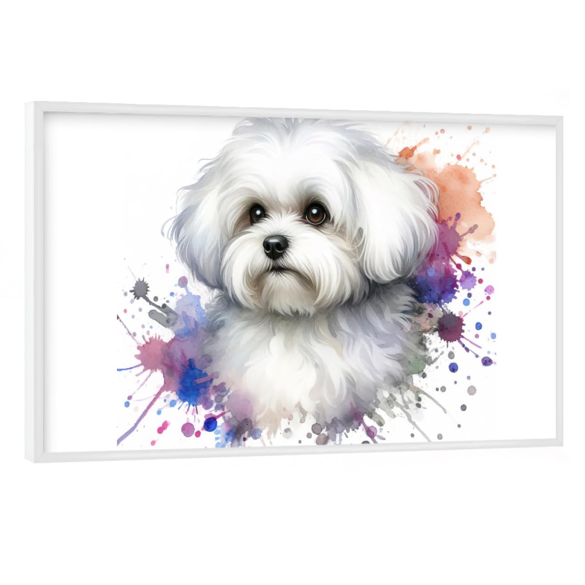 artboxONE Poster mit weißem Rahmen 75x50 cm Tiere Maltesischer Bichon in Aquarell - Bild maltesischer hund