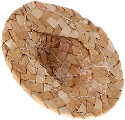 Image of 3 Pcs Handmade Birds Straw Hat Funny Mini Hat for Bearded Dragons Head Wear for Parrot Parakeet Macaw Cockatiels Lovebird