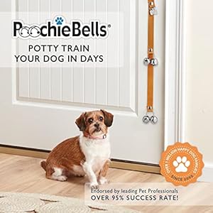 Lux Leatherbased Usa Handcrafted Canine Doorbell Trusted by Professionals  Pet House Owners for 15+ Yrs Fast  Straightforward Pottyhousetraining Pet Coaching Bells Fantastically Made Straightforward to Hear Practice in Days  Cucciolini Doodles Lux leather based usa handcrafted canine doorbell trusted by professionals  pet house owners for 15+ yrs fast  straightforward pottyhousetraining pet coaching bells fantastically made straightforward to hear practice in days   cucciolini doodles