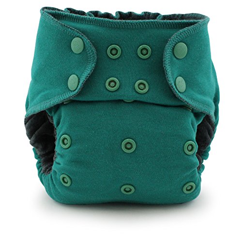 Image of Ecoposh OBV Pocket Fitted Cloth Diaper, Atlantis