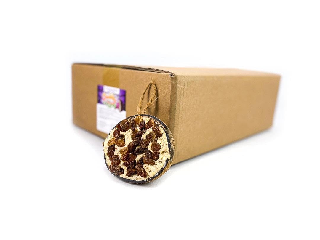 Chubby Coconut Halves Topped with Raisins Bird Feeder, for Wild Birds, Coconut Shell Suet Birds Food, Suet for Blackbirds, Woodpeckers, Starlings & Sparrows (30 Pack)
