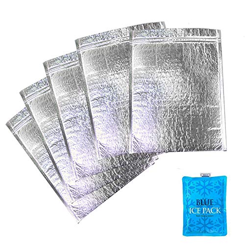 With Molly Insulated Easy Zip Lock Resealable Aluminum Bag with ice pack Lunch Bag Sandwich Bag Hot & Cold Pouch Reusable Thermal Picnic Bag (6 x 10 Inch)