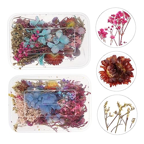 Mini flores secas variadas prensadas naturales para manualidades miniatura 3