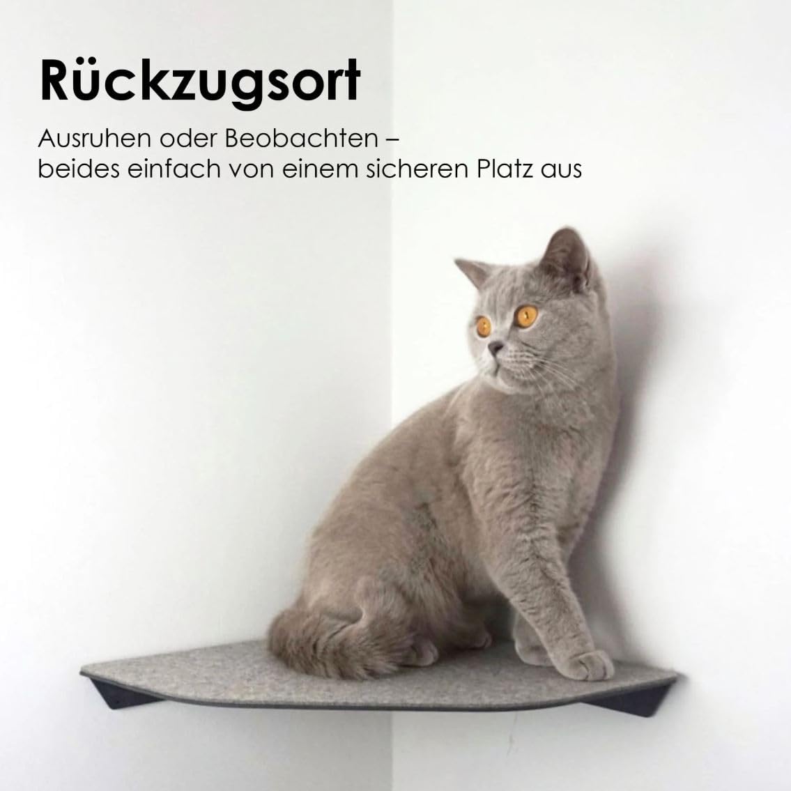 ChapoNero - Tumbona para gatos y escaleras de escalada con revestimiento de fieltro para techos de pared, tumbona de pared para gatos, manta de pared para gatos, para pared de escalada, estantería